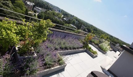 Marcottestyle-penthouse-dakterras-1