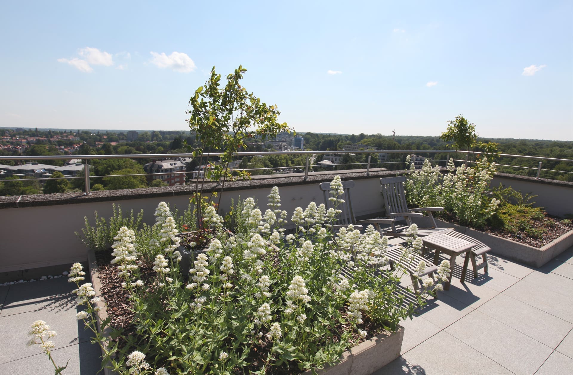 Breites Pflanzbeet mit weißem Baldrian neben einem hölzernen Gartentisch auf einer Dachterrasse