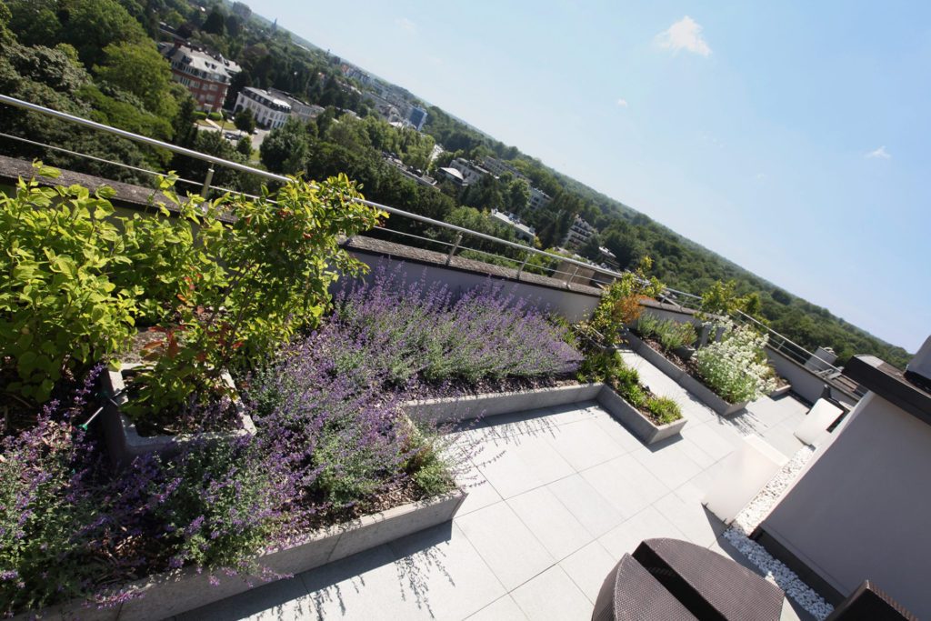 Marcottestyle-dakterras-16-1024x683