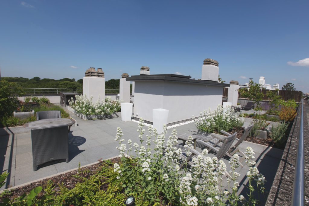 Marcottestyle-dakterras-3-1-1024x683